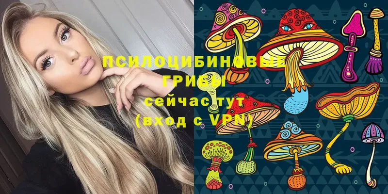 Псилоцибиновые грибы Magic Shrooms  shop клад  Новороссийск  купить наркоту 